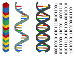 Graphic with DNA helix and binary data
